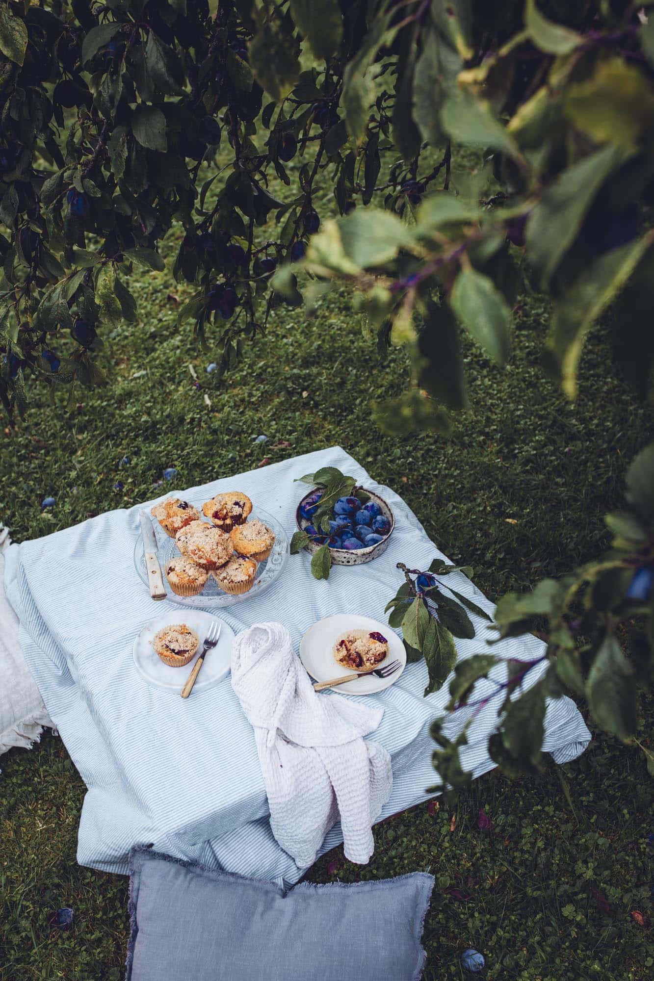 Rezept für Zwetschgen-Streusel-Muffins